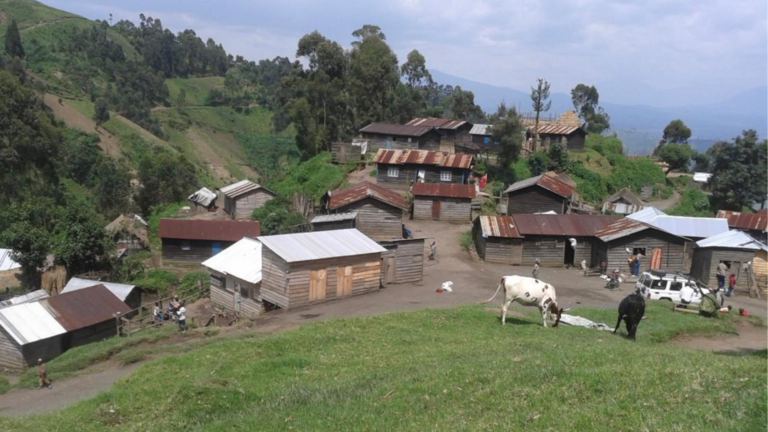 Alerte, Territoire De Masisi, Tension Entre Éleveurs Et Cultivateurs.