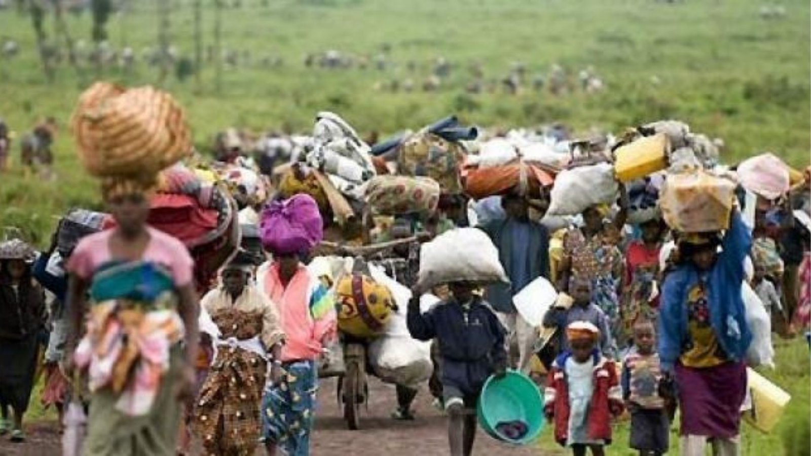Mettre fin au bain de sang en République Démocratique du Congo